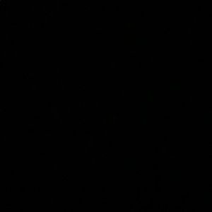 Meet your Posher, Sofia